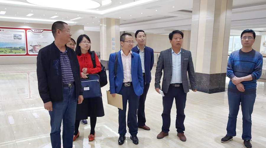 VIP888·(中国大陆)官方网站