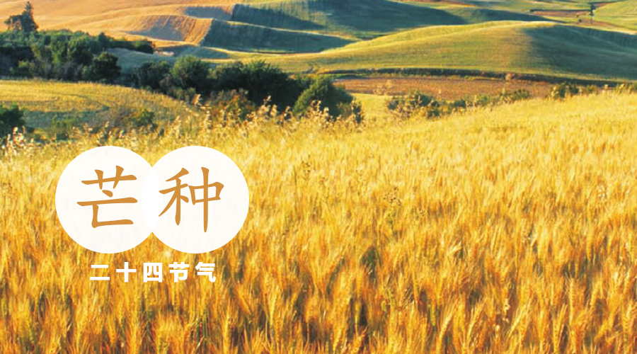 VIP888·(中国大陆)官方网站