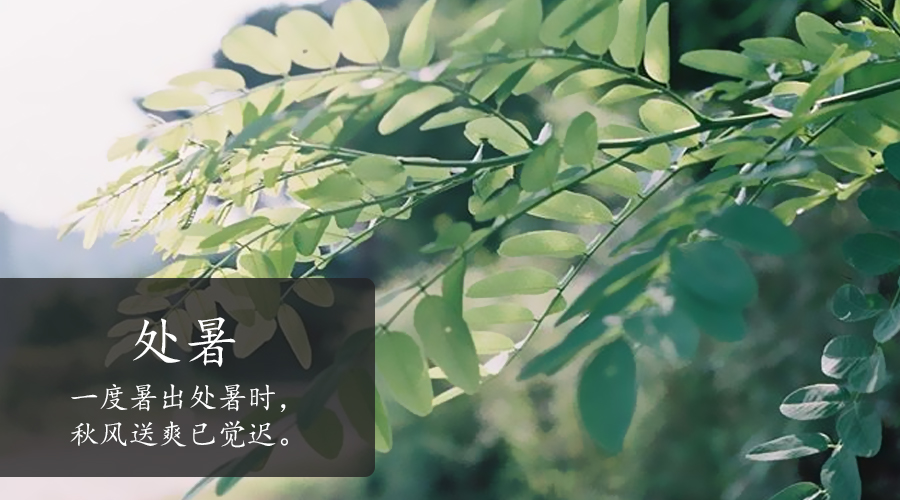 VIP888·(中国大陆)官方网站