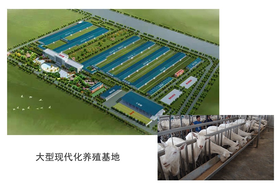 VIP888·(中国大陆)官方网站