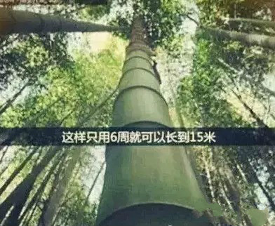 VIP888·(中国大陆)官方网站