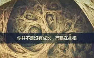 VIP888·(中国大陆)官方网站
